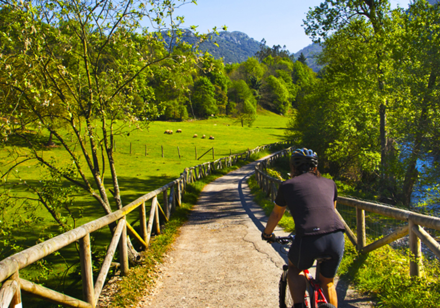 nombre de la marca Disminución Derecho Alquiler de bicicletas en la Senda del Oso (Entrago, Asturias)