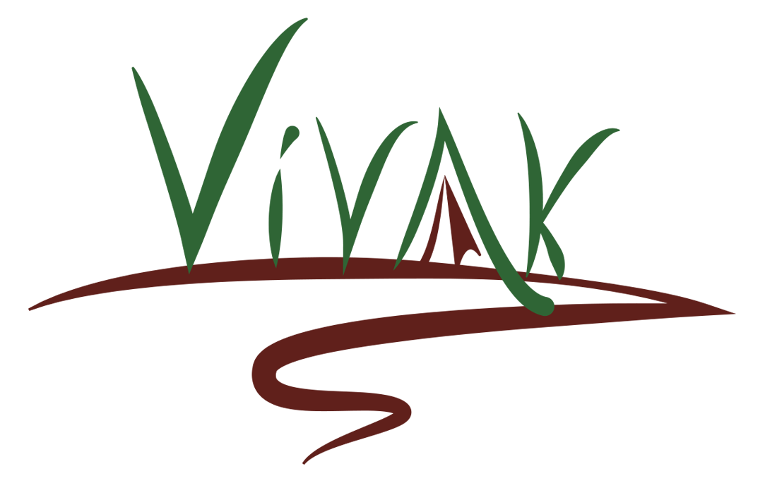 Vivakcolor